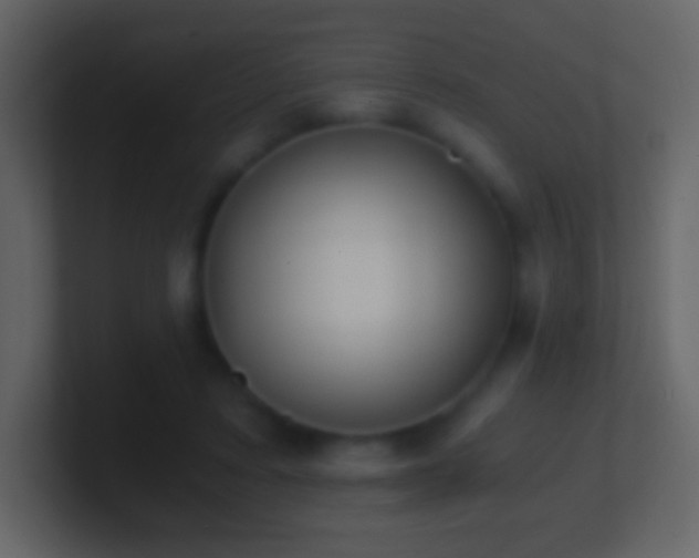 X0000101390403200807071202