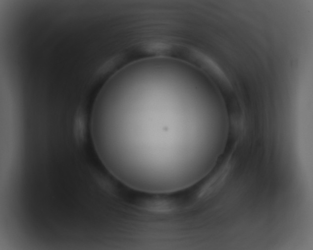 X0000101390404200807071202