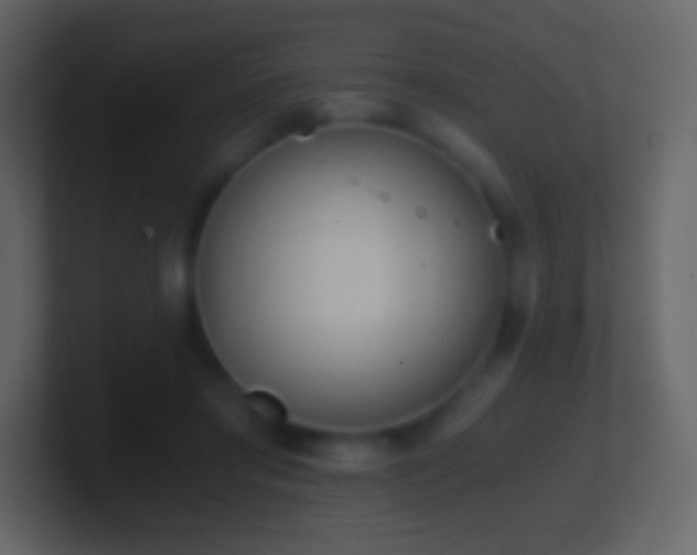 X0000101390405200807071202