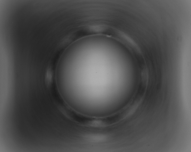 X0000101390406200807071202