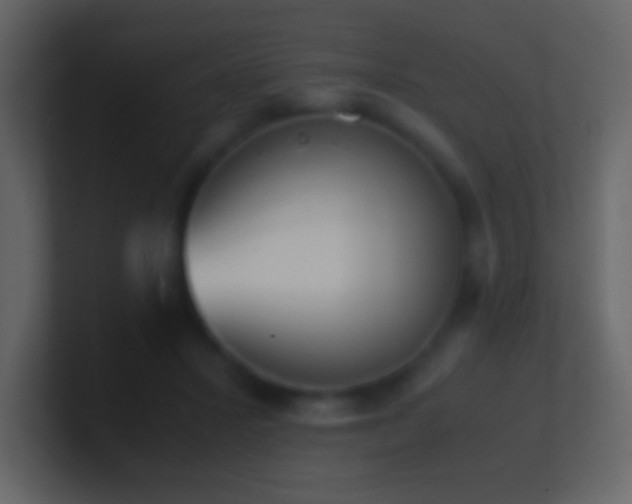 X0000101390407200807071202