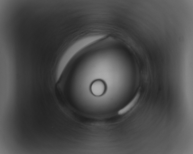 X0000101390408200807071202