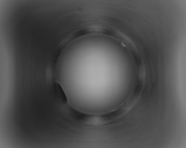 X0000101390409200807071202