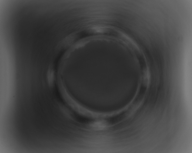 X0000101390410200807071202