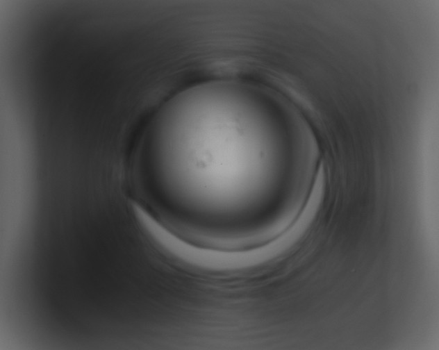 X0000101390411200807071202