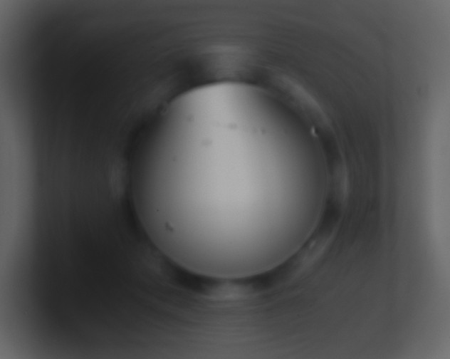 X0000101390413200807071202