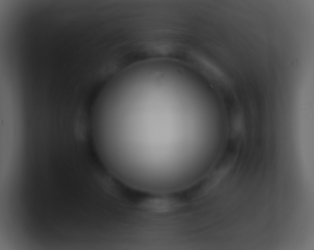 X0000101390414200807071202