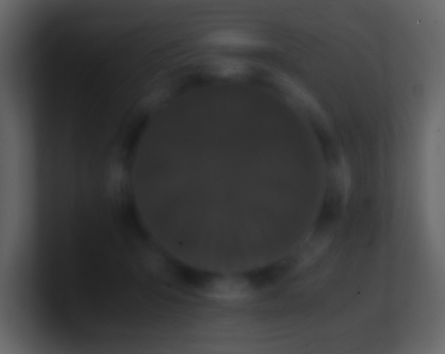 X0000101390415200807071202