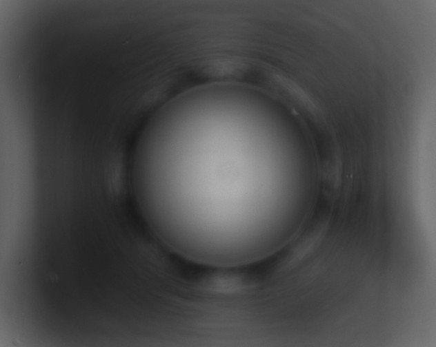 X0000101390416200807071202