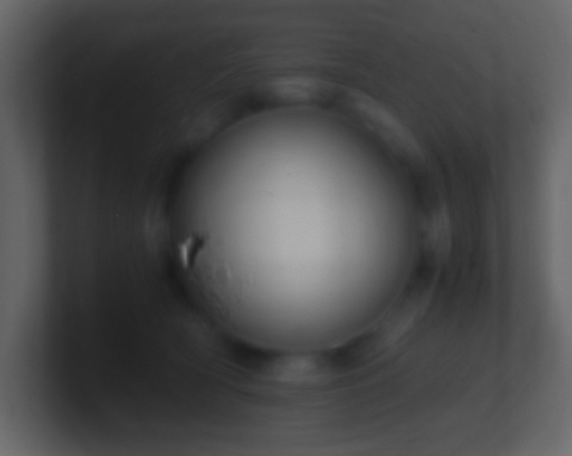 X0000101390418200807071201