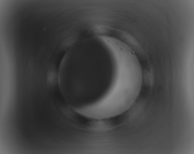 X0000101390419200807071201