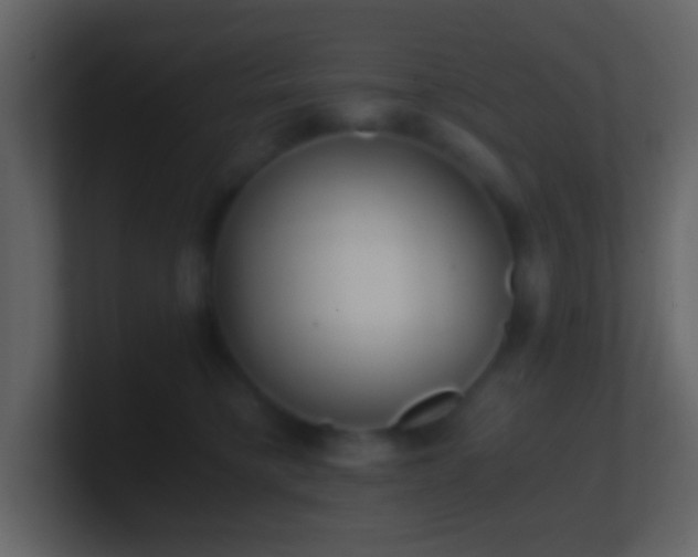 X0000101390421200807071201