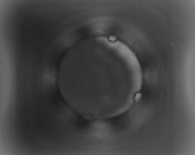 X0000101390423200807071201