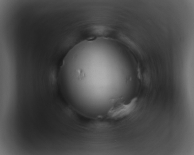 X0000101390424200807071201