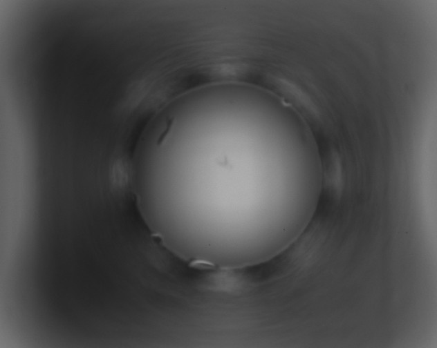 X0000101390425200807071201