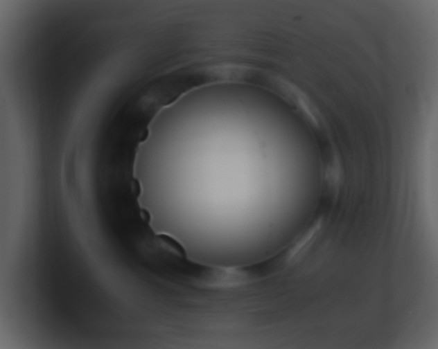 X0000101390429200807071201