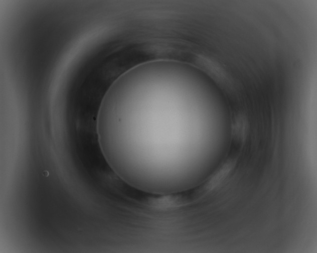 X0000101390430200807071201