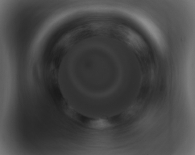 X0000101390431200807071201