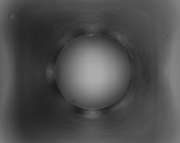 X0000101390432200807071201