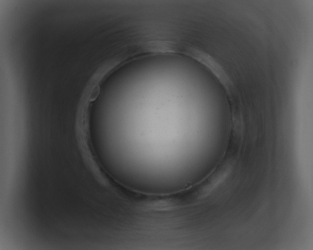 X0000101390433200807071201