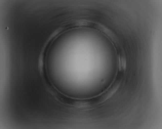 X0000101390435200807071201