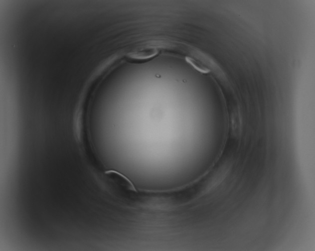 X0000101390436200807071201