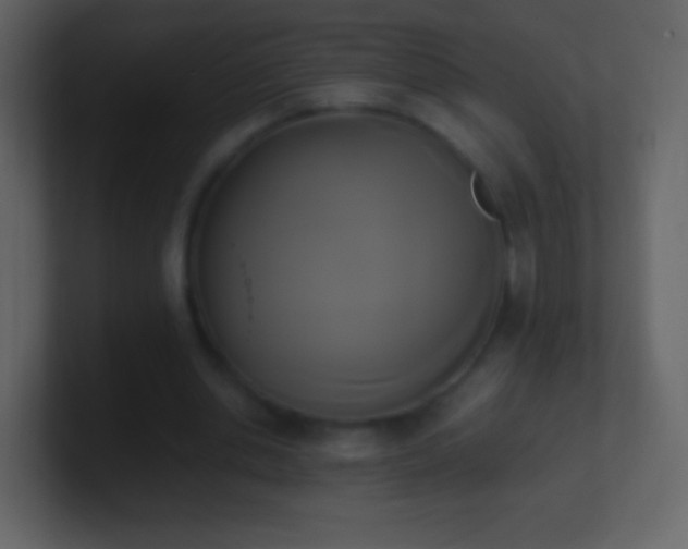 X0000101390438200807071201