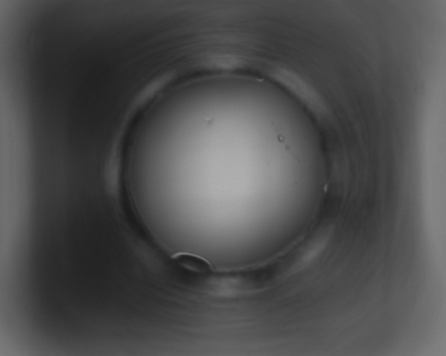 X0000101390440200807071201