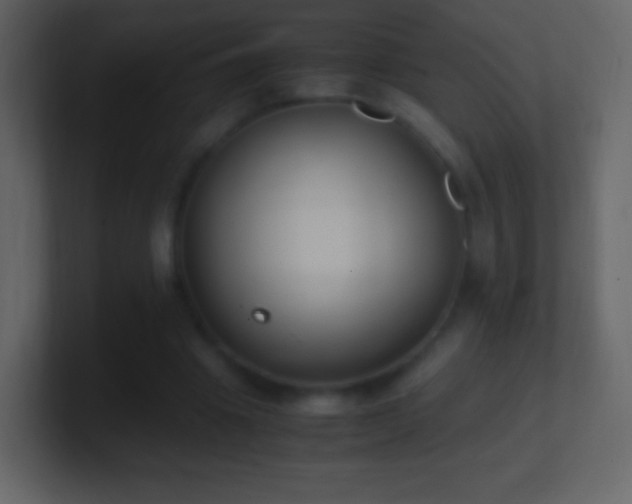 X0000101390441200807071201