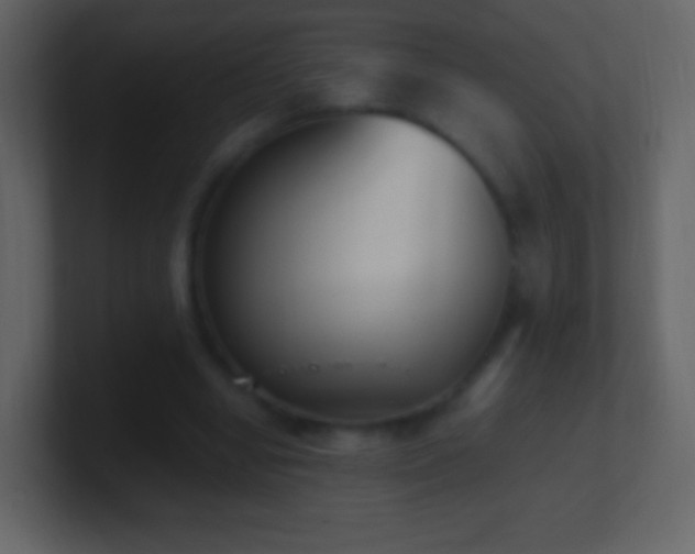 X0000101390442200807071201