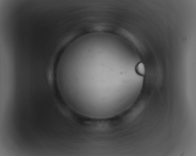 X0000101390443200807071201