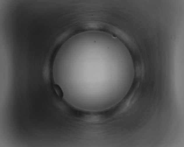 X0000101390444200807071201