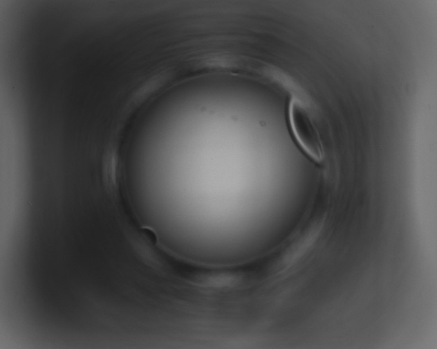 X0000101390445200807071201