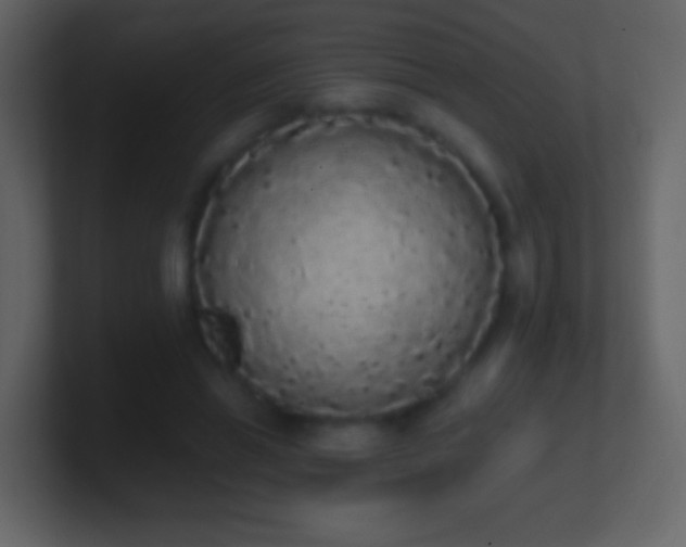 X0000101390446200807071201