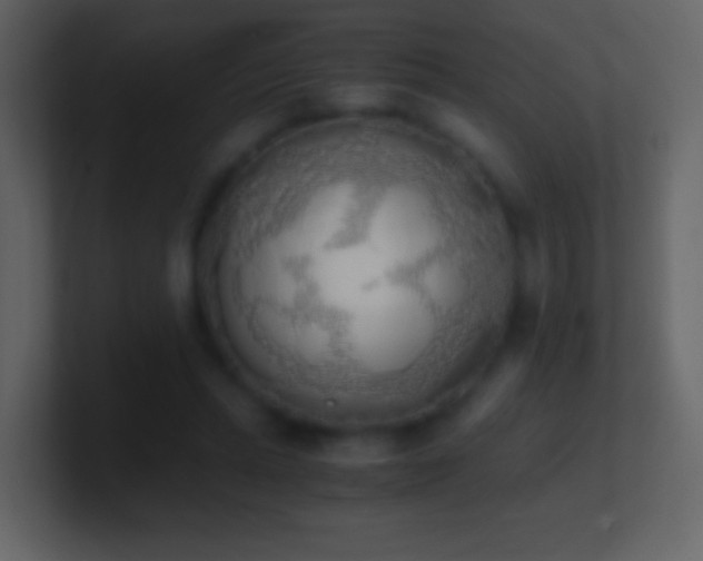 X0000101390447200807071201