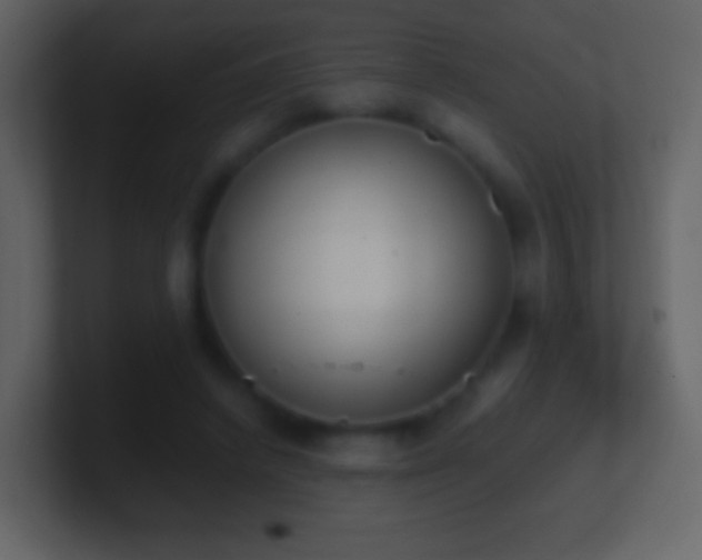 X0000101390448200807071201