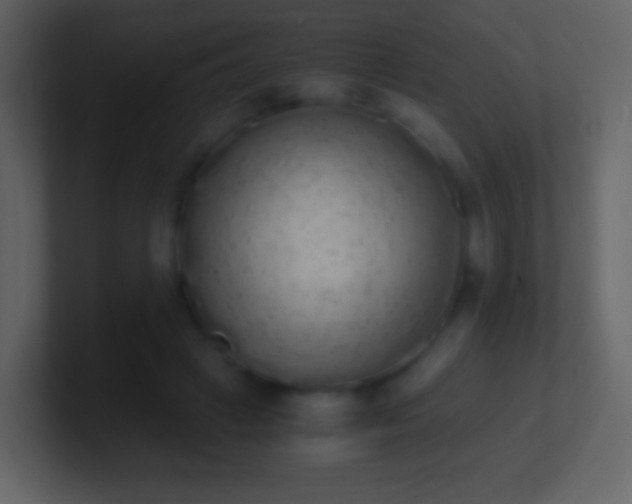 X0000101390449200807071201