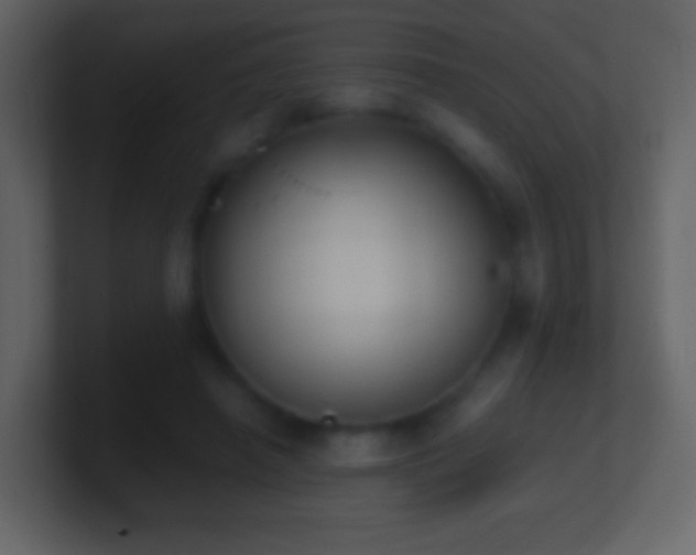 X0000101390450200807071201