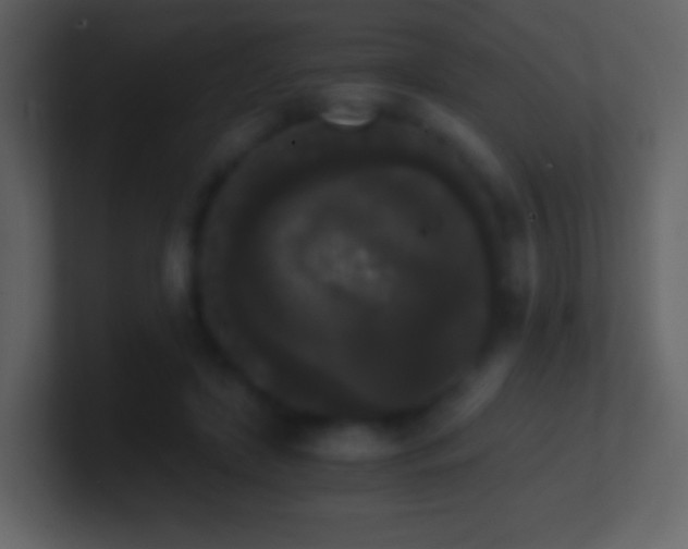 X0000101390451200807071201