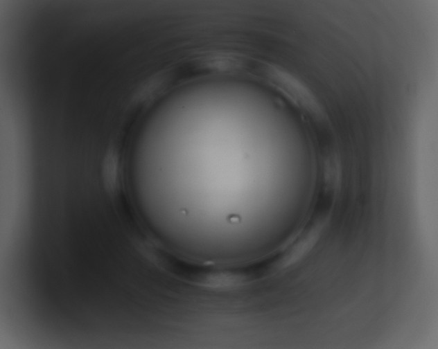 X0000101390453200807071201