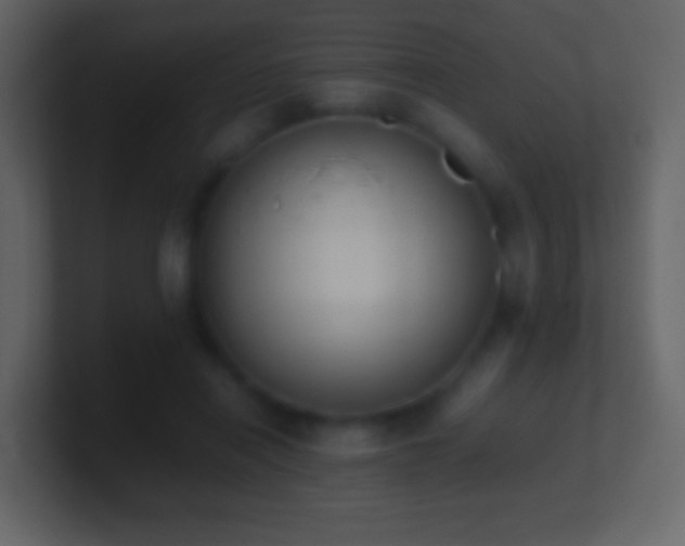 X0000101390454200807071201