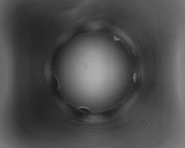 X0000101390455200807071201