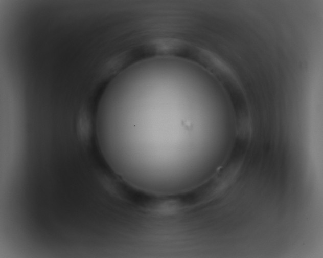 X0000101390456200807071201