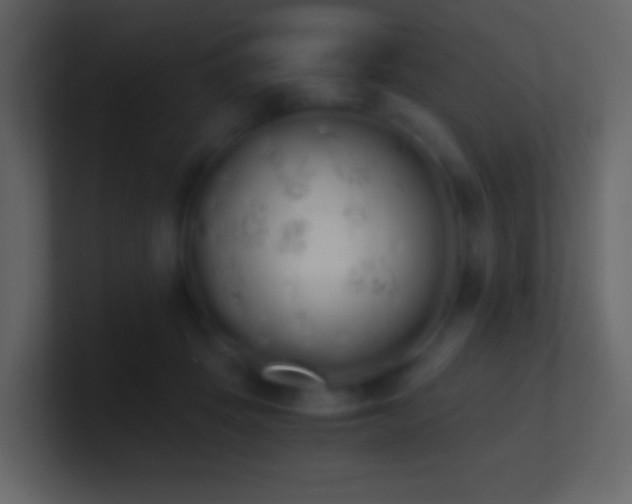 X0000101390457200807071201