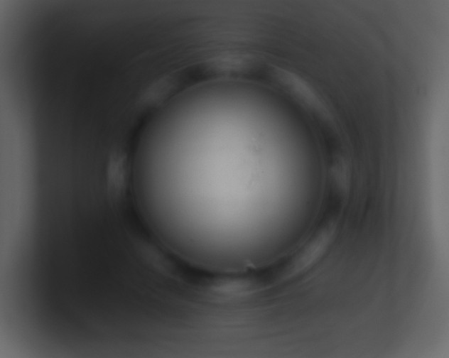 X0000101390458200807071201