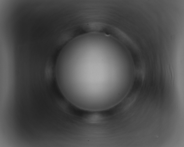 X0000101390460200807071201