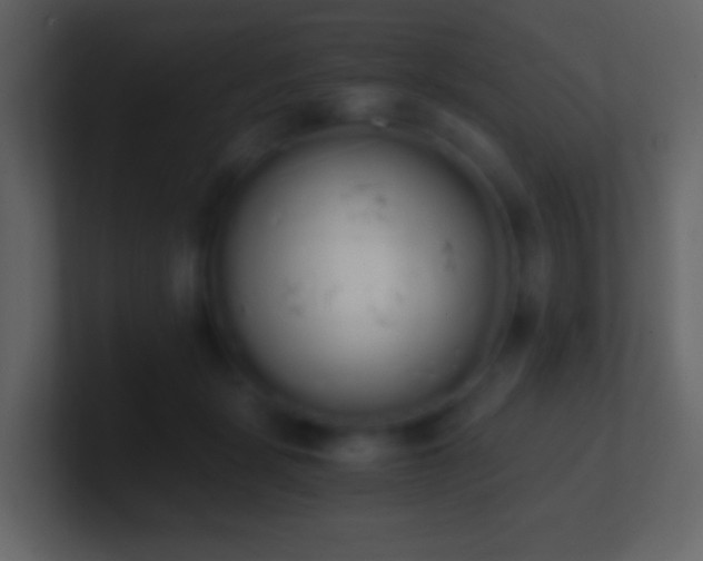 X0000101390461200807071201