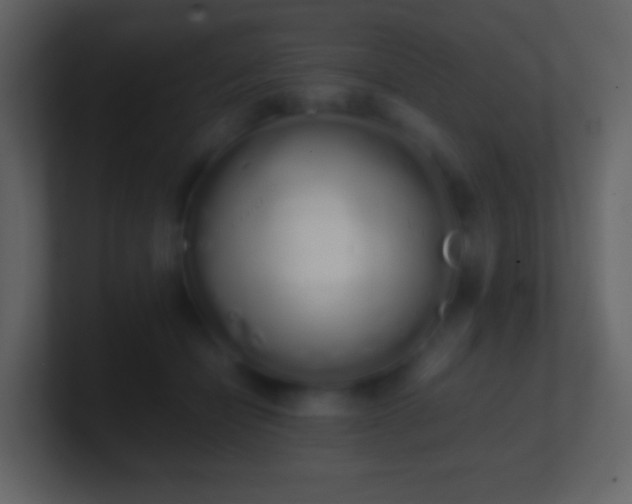 X0000101390462200807071201