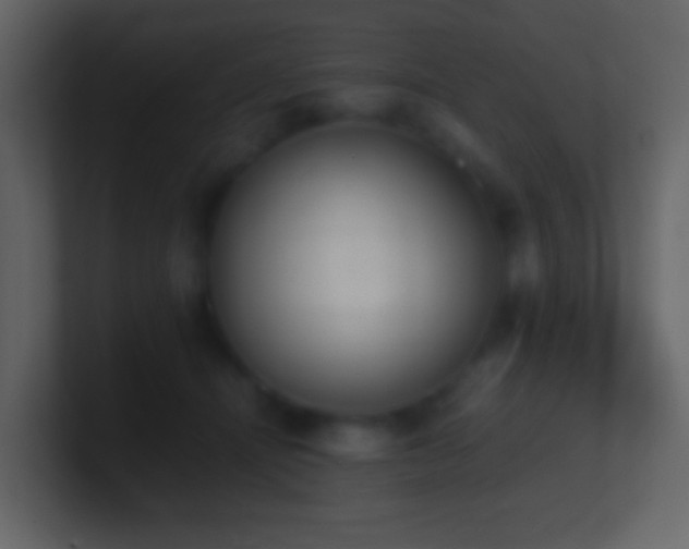 X0000101390464200807071201