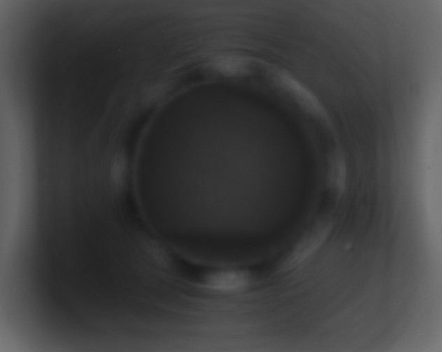 X0000101390465200807071201